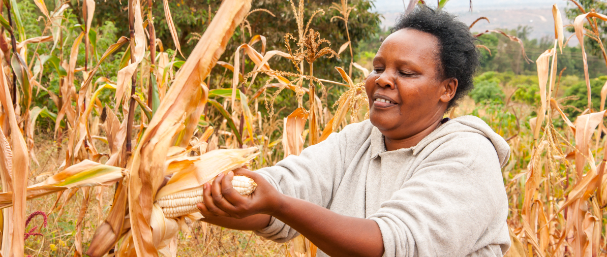 kdv4-for-smallholders-machakos-county-kenya-brenda-wawa-cimmyt-21-july-2015