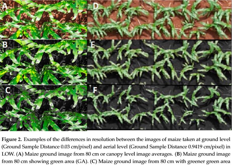 Evaluating Maize Genotype Performance under Low Nitrogen Conditions Using RGB UAV Phenotyping Techniques