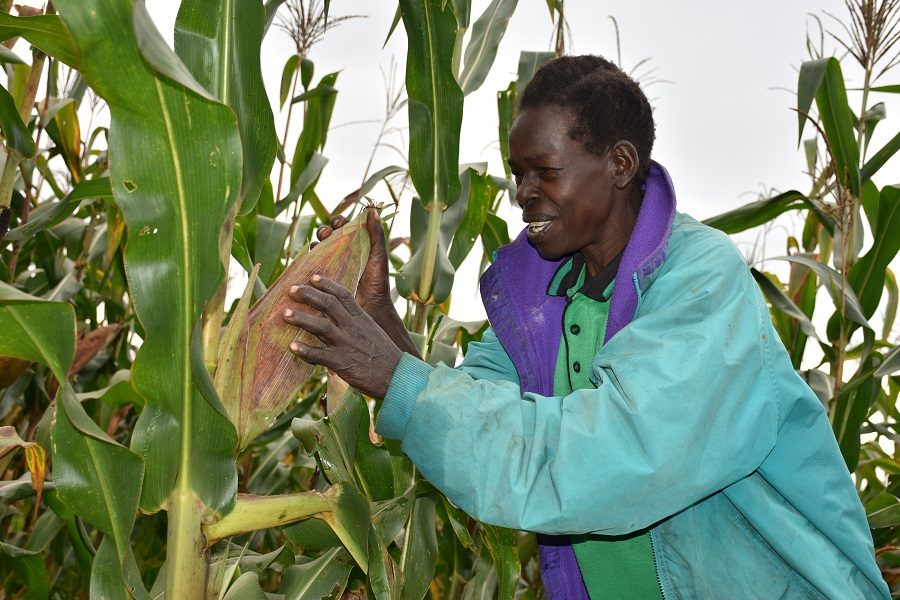 Equator Seeds Case study